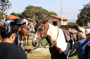 Foto - Cavalgada 01/06/2025