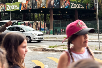 Foto - Passeio Zoológico 15/10/2025