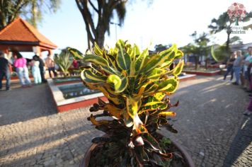 Foto - INAUGURAÇÃO PRAÇA CENTRAL E HOMENAGEM A DIA DAS MÃES