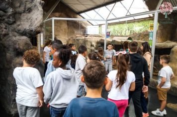 Foto - Visita ao Aquário