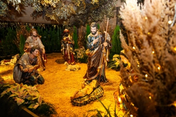 Foto - Pedal, Feira Noturna e Presépio - 12/12/25