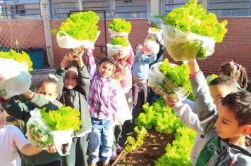 Foto - ALUNOS DA ESCOLA MUNICIPAL DE EDUCAÇÃO BÁSICA “GOVERNADOR MARIO COVAS” REALIZAM A PRIMEIRA COLHEITA NA HORTA ESCOLAR