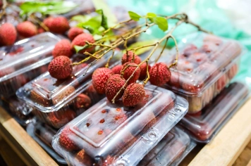 Foto - Pedal, Feira Noturna e Presépio - 12/12/25