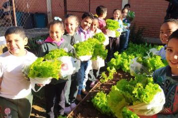 Foto - ALUNOS DA ESCOLA MUNICIPAL DE EDUCAÇÃO BÁSICA “GOVERNADOR MARIO COVAS” REALIZAM A PRIMEIRA COLHEITA NA HORTA ESCOLAR