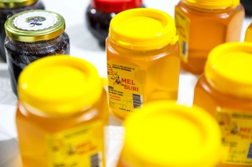 Foto - Pedal, Feira Noturna e Presépio - 12/12/25