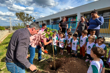 Foto - Plantio de IPÊs na EMEI “Professora Denise Ap. Puttinati Casari”