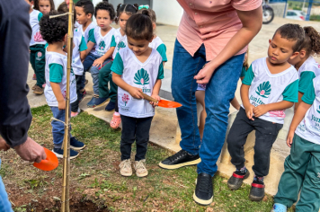 Foto - Plantio de IPÊs na EMEI “Professora Denise Ap. Puttinati Casari”