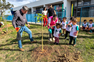 Foto - Plantio de IPÊs na EMEI “Professora Denise Ap. Puttinati Casari”