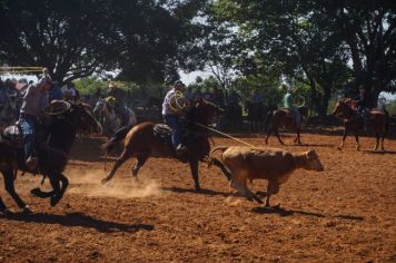 Foto - Prova de Laço (18/05/24)