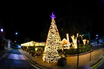 Foto - Decoração de Natal 2024