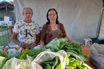 Foto - Feira Livre Noturna (14/11/24)