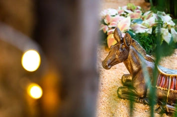 Foto - Pedal, Feira Noturna e Presépio - 12/12/25