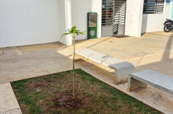 Foto - Plantio de IPÊs na EMEI “Professora Denise Ap. Puttinati Casari”