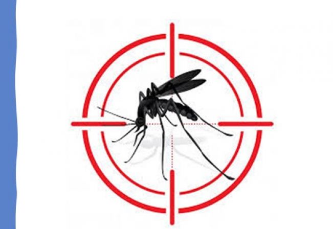 Boletim Dengue