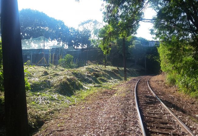 Prefeitura de Jumirim realiza limpeza na extensão da linha férrea.