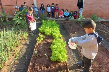 Foto - ALUNOS DA ESCOLA MUNICIPAL DE EDUCAÇÃO BÁSICA “GOVERNADOR MARIO COVAS” REALIZAM A PRIMEIRA COLHEITA NA HORTA ESCOLAR