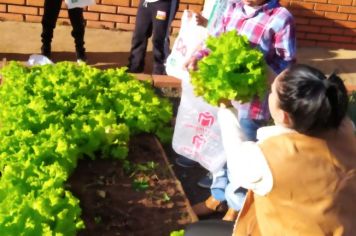 Foto - ALUNOS DA ESCOLA MUNICIPAL DE EDUCAÇÃO BÁSICA “GOVERNADOR MARIO COVAS” REALIZAM A PRIMEIRA COLHEITA NA HORTA ESCOLAR