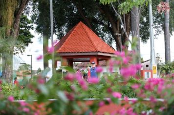 Foto - Domingo na Praça (26/11)