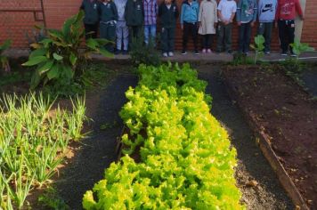 Foto - ALUNOS DA ESCOLA MUNICIPAL DE EDUCAÇÃO BÁSICA “GOVERNADOR MARIO COVAS” REALIZAM A PRIMEIRA COLHEITA NA HORTA ESCOLAR