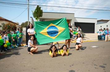 Fotos Dia da ...