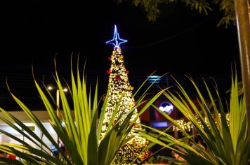 Foto - Decoração de Natal 2024