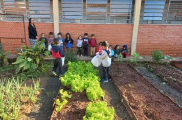 Foto - ALUNOS DA ESCOLA MUNICIPAL DE EDUCAÇÃO BÁSICA “GOVERNADOR MARIO COVAS” REALIZAM A PRIMEIRA COLHEITA NA HORTA ESCOLAR