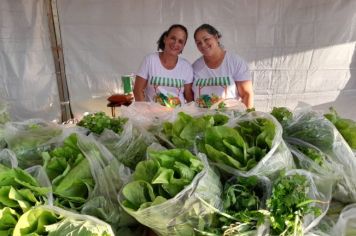 Foto - Feira Livre Noturna (14/11/24)