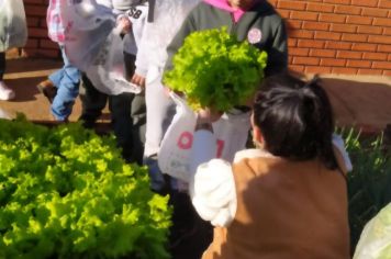 Foto - ALUNOS DA ESCOLA MUNICIPAL DE EDUCAÇÃO BÁSICA “GOVERNADOR MARIO COVAS” REALIZAM A PRIMEIRA COLHEITA NA HORTA ESCOLAR