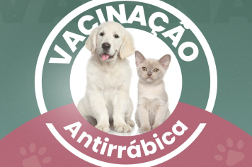 Resultado da Vacinação