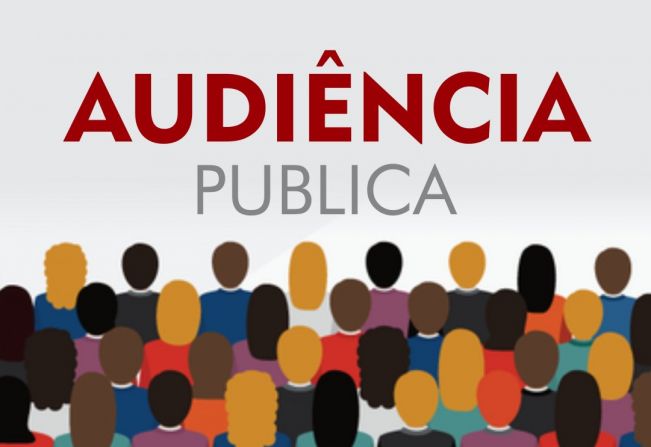 Audiência Pública - on-line